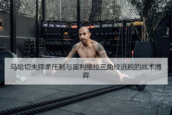 ma-ha-qie-fu-shuai-rou-ya-zhi-yu-ao-li-wei-la-san-jiao-jiao-tao-tuo-de-zhan-shu-bo-yi-2-966.jpg