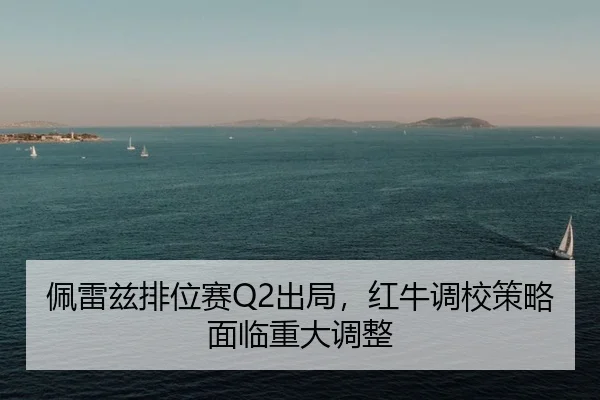 pei-lei-zi-pai-wei-sai-chu-ju-hong-niu-diao-xiao-ce-lve-mian-lin-zhong-da-tiao-zheng-2-145.jpg